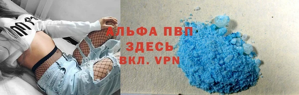 амф Алексин