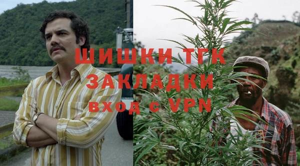 соль ск Алзамай