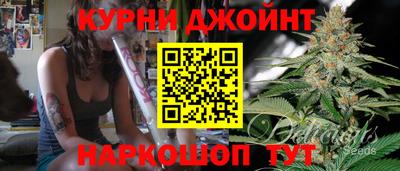скорость Гатчина