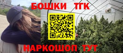 скорость Гатчина