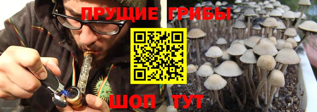 Галлюциногенные грибы ЛСД  Псилоцибиновые грибы мухоморы  Вход с VPN  Лениногорск 